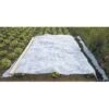 Voile D'hivernage Blanc 30g/m2 Werkapro 2 X 5 M 1 Voile D'hivernage Blanc 30g/m2 Werkapro 2 X 5 M -Jardin Doux Soldes Magasin 10000201 1