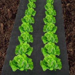 Feutre Toile De Paillage 1M X 30M Noir -Jardin Doux Soldes Magasin 11031766 4