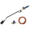 Kemper Brûleur De Mauvaises Herbes / Brûleur à Gaz Allumage Piézo Tuyau De Gaz 10M Régulateur De Pression