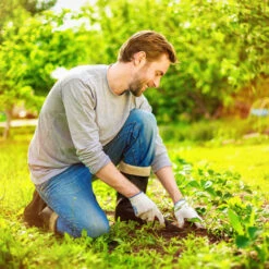 Relaxdays Toile Anti-mauvaises Herbes 50 M, Bâche Tissée, Toile 150g/m² Paillage, Résiste Rayons UV, Antidéchirure, Noir -Jardin Doux Soldes Magasin 13730420 5