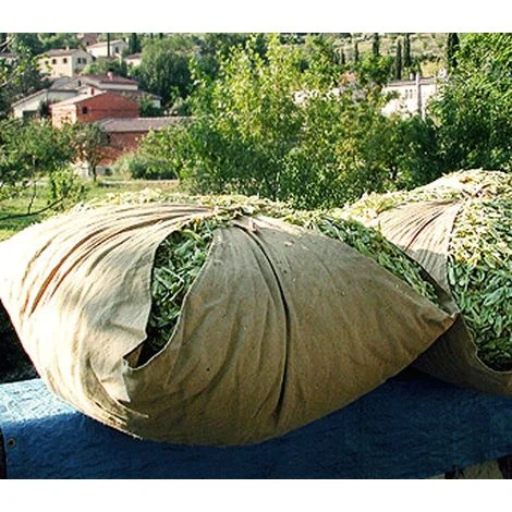 Bourras - Nappe De Jute Pour Jardin & Potager 3 Bourras - Nappe De Jute Pour Jardin & Potager