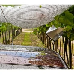 Filet Anti-grêle Avec Boucles Et Ralingue - 8 X 8m - 70g/m²