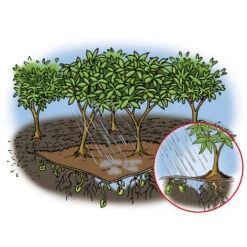 Toile De Paillage Bio-Mulch En Feutre, 1,5 X 10 M, Qualité Professionnelle GartenMeister -Jardin Doux Soldes Magasin 15045256 3
