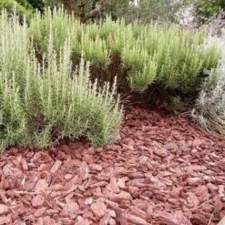 Paillage Végétal Biodégradable écorces De Pin Maritime 10 Sacs 50 L Pour 10m2 -Jardin Doux Soldes Magasin 15817009 3