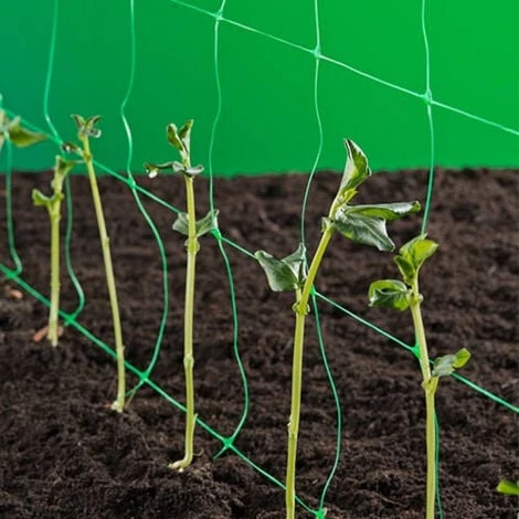 Nature Filet à Ramer Vert 10 G/m², Dimensions 1 X 10 M 3 Nature Filet à Ramer Vert 10 G/m², Dimensions 1 X 10 M