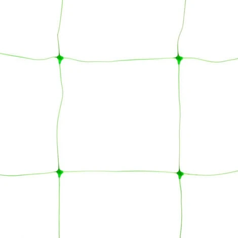 Nature Filet à Ramer Vert 10 G/m², Dimensions 1 X 10 M 4 Nature Filet à Ramer Vert 10 G/m², Dimensions 1 X 10 M – Image 2