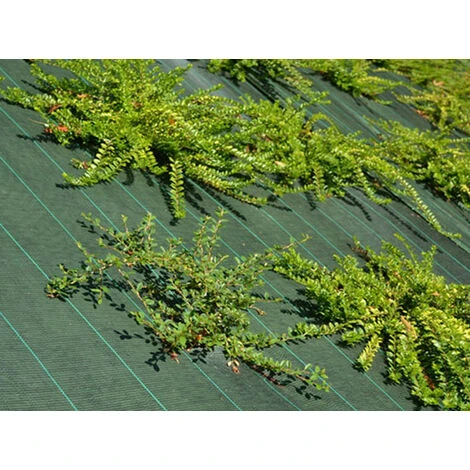 Toile De Paillage - Vert - 130gr/m² Vert 1.65m X 5m 3 Toile De Paillage - Vert - 130gr/m² Vert 1.65m X 5m