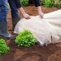 Lot De 2 Tunnels De Forçage Accordéon 4M 8 Lot De 2 Tunnels De Forçage Accordéon 4M -Jardin Doux Soldes Magasin 28605837 3