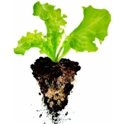 Hydro-rétenteur D'eau Fertilisant Polyter Bidon 250 G -Jardin Doux Soldes Magasin 28731339 4