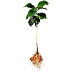 Hydro-rétenteur D'eau Fertilisant Polyter Bidon 250 G -Jardin Doux Soldes Magasin 28731339 5