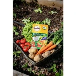 SOLABIOL SOBB20800 Bouillie Bordelaise 800g Traitement Mildiou Tavelure Cloque Utilisable En Agriculture Biologique -Jardin Doux Soldes Magasin 30982497 4