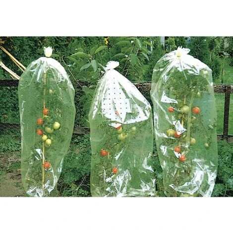 Windhager Housse Perforée Pour Tomates 4 Windhager Housse Perforée Pour Tomates – Image 2