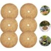 Tapis Coco Plante, Disque De Paillage Coco, Protection D'hiver Pour Plantes En Pot, Protéger Les Racines Des Plantes En Pot Du Gel 20cm Fontainebleau 2 Tapis Coco Plante, Disque De Paillage Coco, Protection D'hiver Pour Plantes En Pot, Protéger Les Racines Des Plantes En Pot Du Gel 20cm Fontainebleau -Jardin Doux Soldes Magasin 44183491 1