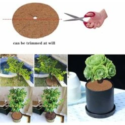Tapis Coco Plante, Disque De Paillage Coco, Protection D'hiver Pour Plantes En Pot, Protéger Les Racines Des Plantes En Pot Du Gel 20cm Fontainebleau 10 Tapis Coco Plante, Disque De Paillage Coco, Protection D'hiver Pour Plantes En Pot, Protéger Les Racines Des Plantes En Pot Du Gel 20cm Fontainebleau -Jardin Doux Soldes Magasin 44183491 4