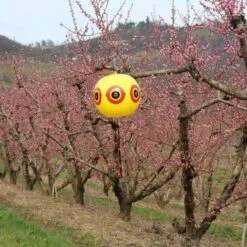 Ballon Effaroucheur D'oiseaux X2 -Jardin Doux Soldes Magasin 4629268 5