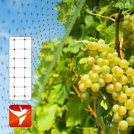 Filet De Protection Contre Les Oiseaux Ultra Résistant Taille De Maille 13 Millimètres 2 X 10 M 6 Filet De Protection Contre Les Oiseaux Ultra Résistant Taille De Maille 13 Millimètres 2 X 10 M – Image 4