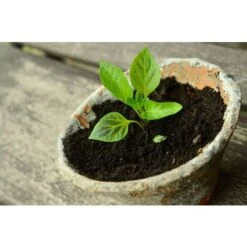 Savon Noir Castalia 750ml Solution Potassique - Solution écologique-Contrôle Des Parasites - Pour Tous Les Types De Plantes -Jardin Doux Soldes Magasin 54963358 3