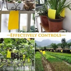 Pièges à Insectes Volants 30PCS Piège Engluées Colle Double Face Autocollants Jaune Papier Étanche Anti-Insecte Pour Jardin Plante Fleur Fruits Protection （ Attaches élastiques Fournies ） -Jardin Doux Soldes Magasin 55912297 4