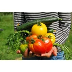 Decis Protech Home 100ml Insecticide Polyvalente -Jardin Doux Soldes Magasin 61352731 4