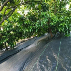 Froadp Toiles De Paillage Lutte Contre Les Mauvaises Herbes Bâche Drainant Tapis, 100g/㎡ PP, 2x25m -Jardin Doux Soldes Magasin 65112565 5