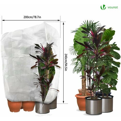 Lot De 3 Housse Hivernage Plante Avec Cordon Et Zipper Polypropylème 80g/m² 200x240cm Blanc 3 Lot De 3 Housse Hivernage Plante Avec Cordon Et Zipper Polypropylème 80g/m² 200x240cm Blanc – Image 2