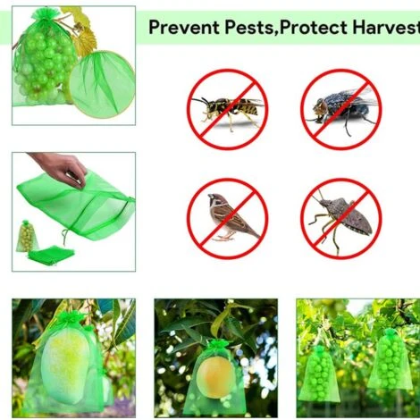 Sac Protection Fruits 100 Pièces, Sachet Protection Raisin 20x 30cm Jardin Sac Organza Avec Cordon Contre Guêpe Drosophile Scarabées Oiseaux (Vert)LO-Ron 5 Sac Protection Fruits 100 Pièces, Sachet Protection Raisin 20x 30cm Jardin Sac Organza Avec Cordon Contre Guêpe Drosophile Scarabées Oiseaux (Vert)LO-Ron – Image 4