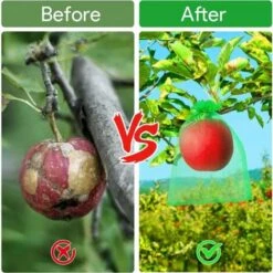 Sac Protection Fruits 100 Pièces, Sachet Protection Raisin 20x 30cm Jardin Sac Organza Avec Cordon Contre Guêpe Drosophile Scarabées Oiseaux (Vert)LO-Ron 10 Sac Protection Fruits 100 Pièces, Sachet Protection Raisin 20x 30cm Jardin Sac Organza Avec Cordon Contre Guêpe Drosophile Scarabées Oiseaux (Vert)LO-Ron -Jardin Doux Soldes Magasin 78831226 5