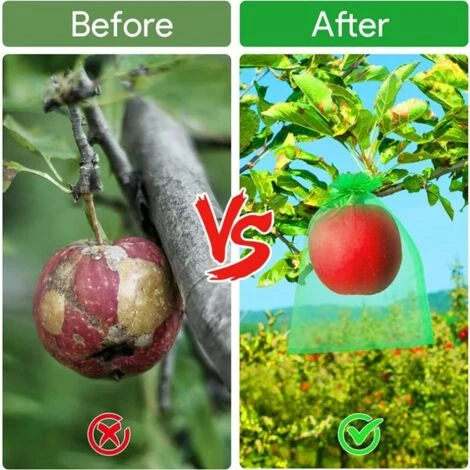 Sac Protection Fruits 100 Pièces, Sachet Protection Raisin 20x 30cm Jardin Sac Organza Avec Cordon Contre Guêpe Drosophile Scarabées Oiseaux (Vert)LO-Ron 6 Sac Protection Fruits 100 Pièces, Sachet Protection Raisin 20x 30cm Jardin Sac Organza Avec Cordon Contre Guêpe Drosophile Scarabées Oiseaux (Vert)LO-Ron – Image 5