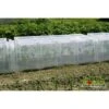 Tunnel Modul'o 40 (105x39x30cm) Serre Tunnel De Forçage -Jardin Doux Soldes Magasin 82465679 1