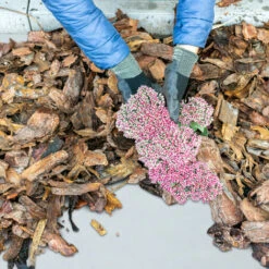 Relaxdays Géotextile Robuste, 150 G/m², Protection De Plantes, Perméable, Résistant Aux Intempéries, 1 X 50 m, Blanc -Jardin Doux Soldes Magasin 83287881 3