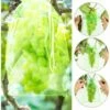 SVKBJROY Sac De Protection De Raisins, 50Pcs Sac De Protection De Grappes,17 X 23 Cm, Sachets De Protection Pour Plantes, Sac En Organza Avec Cordon De Serrage Pour Fruits(Vert) -Jardin Doux Soldes Magasin 83693400 1