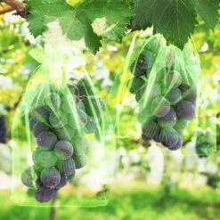 SVKBJROY Sac De Protection De Raisins, 50Pcs Sac De Protection De Grappes,17 X 23 Cm, Sachets De Protection Pour Plantes, Sac En Organza Avec Cordon De Serrage Pour Fruits(Vert) -Jardin Doux Soldes Magasin 83693400 4