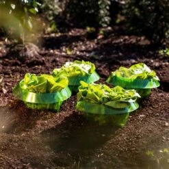 Bague De Plantes Protection I Entonnoirs Anti-limaces (5 Pièces) I Clôture Salade I Protection Anti-limaces I Cloche à Salade I Col En Plastique I Bague De Protection -Jardin Doux Soldes Magasin 83991429 3