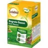 SOLABIOL SOGAZMOU80N Engrais Gazon Anti Mousse 3,2kg Elimine La Mousse & Fertilise Le Gazon