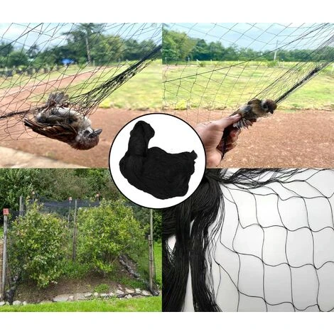 20m X 4m Filet Anti Oiseaux Noir, Filet Oiseaux Robuste, Filet Voliere Poulailler, Filet De Protection Pour Oiseaux, Filet De Protection Les Potager Et Fruits 4 20m X 4m Filet Anti Oiseaux Noir, Filet Oiseaux Robuste, Filet Voliere Poulailler, Filet De Protection Pour Oiseaux, Filet De Protection Les Potager Et Fruits – Image 2