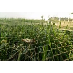 20m X 4m Filet Anti Oiseaux Noir, Filet Oiseaux Robuste, Filet Voliere Poulailler, Filet De Protection Pour Oiseaux, Filet De Protection Les Potager Et Fruits 9 20m X 4m Filet Anti Oiseaux Noir, Filet Oiseaux Robuste, Filet Voliere Poulailler, Filet De Protection Pour Oiseaux, Filet De Protection Les Potager Et Fruits -Jardin Doux Soldes Magasin 89330462 3