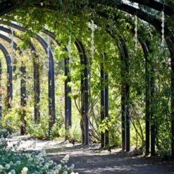 12 Pièces Répulsif Oiseaux,Répulsifs Oiseaux Reflechissants,30 Cm Barre Oiseaux 360 Degrés Réfléchissant En Spirale Lumineux,Convient Pour Balcons, Arbres Fruitiers, Potagers(Argenté) -Jardin Doux Soldes Magasin 91610283 5