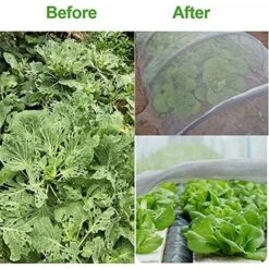 Filet De Jardin,10 M X 2.5m Filet Anti Insecte, Filet Anti Insectes Potager, Maille Fine Anti-Insecte En Maille Pour La Protection Des Plantes, Fleurs, Légumes Et Fruits 10 Filet De Jardin,10 M X 2.5m Filet Anti Insecte, Filet Anti Insectes Potager, Maille Fine Anti-Insecte En Maille Pour La Protection Des Plantes, Fleurs, Légumes Et Fruits -Jardin Doux Soldes Magasin 92332780 4