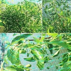 10 M X 4 M Filet Anti-Oiseaux,Filet Jardin Anti Oiseaux,Filet Anti Oiseaux Nylon,Protégez Arbres Fruitiers Et Les Légume Des Dommages Causés Par Les Oiseaux Et D'autres Animaux. -Jardin Doux Soldes Magasin 92874447 3
