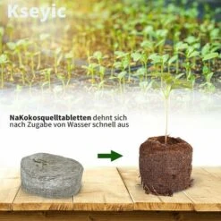 50 PCS Pastilles De Culture, Tourbe Compressée, Avec Nutriments Bloc De Nutrition Pour Semis, Pour La Culture De Plantes De Jardinage 10 50 PCS Pastilles De Culture, Tourbe Compressée, Avec Nutriments Bloc De Nutrition Pour Semis, Pour La Culture De Plantes De Jardinage -Jardin Doux Soldes Magasin 92929250 4