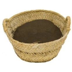 CULTIVERS Farine De Sang De La Force De Protesan De 5 Kg - Engrais Organique à Haute Teneur En Azote, Obtenu à Partir De Farine De Sang - Prix Direct Usine 8 CULTIVERS Farine De Sang De La Force De Protesan De 5 Kg - Engrais Organique à Haute Teneur En Azote, Obtenu à Partir De Farine De Sang - Prix Direct Usine -Jardin Doux Soldes Magasin 93581673 3