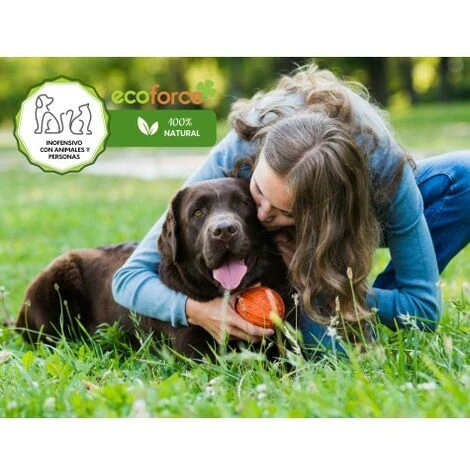 CULTIVERS Chélate De Fer 1 Kg. Verdissement De L'antichlorose. Engrais écologique Nutriment Essentiel Pour Les Plantes (6 % De Fe-EDDHA Et 4,8 % Supplémentaires). 4 CULTIVERS Chélate De Fer 1 Kg. Verdissement De L'antichlorose. Engrais écologique Nutriment Essentiel Pour Les Plantes (6 % De Fe-EDDHA Et 4,8 % Supplémentaires). – Image 2