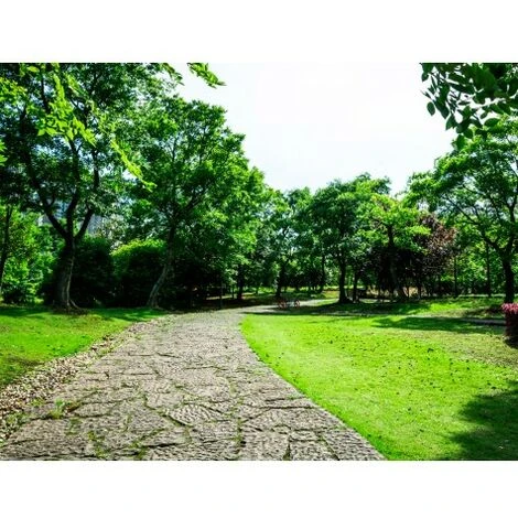 CULTIVERS Farine D'Os De 5 Kg - Engrais Végétal Organique - Fournit Du Phosphore Et Du Calcium Aux Cultures - Engrais 100% Naturel 4 CULTIVERS Farine D'Os De 5 Kg - Engrais Végétal Organique - Fournit Du Phosphore Et Du Calcium Aux Cultures - Engrais 100% Naturel – Image 2