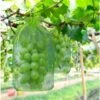 100 Pièces Sac De Protection De Grappes De Raisin, Taille: 30 X 20 Cm, Couleur: Vert, Avec Cordon, Donne Protection Totale Contre Les Guêpes, Les Oiseaux, Matériau: Organza -Jardin Doux Soldes Magasin 95181764 1