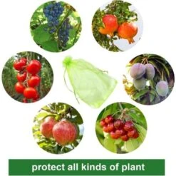 100 Pièces Sac De Protection De Grappes De Raisin, Taille: 30 X 20 Cm, Couleur: Vert, Avec Cordon, Donne Protection Totale Contre Les Guêpes, Les Oiseaux, Matériau: Organza -Jardin Doux Soldes Magasin 95181764 3