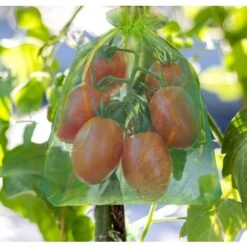 100 Pièces Sac De Protection De Grappes De Raisin, Taille: 30 X 20 Cm, Couleur: Vert, Avec Cordon, Donne Protection Totale Contre Les Guêpes, Les Oiseaux, Matériau: Organza -Jardin Doux Soldes Magasin 95181764 5