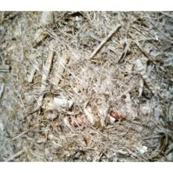 Toile De Paillage En Chanvre - 450g/m² 0.56 X 25 M -Jardin Doux Soldes Magasin 95534650 3