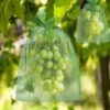 100pcs Bunch Protection Bag 30x20cm / 10x15cm Sac Organza Fruit Raisin Avec Cordon Donne Une Protection Totale - 15cm -Jardin Doux Soldes Magasin 95589780 1