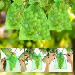 100pcs Bunch Protection Bag 30x20cm / 10x15cm Sac Organza Fruit Raisin Avec Cordon Donne Une Protection Totale - 15cm -Jardin Doux Soldes Magasin 95589780 3