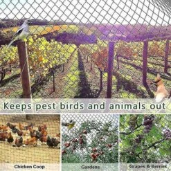 Filet Anti-oiseau Lourd Clôture De Jardin Et Cultures Clôture De Protection Maille Anti Oiseau Cerf Chat Chien Poulet 4m 5m -Jardin Doux Soldes Magasin 96308849 4
